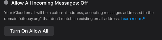 iCloud Catchall Email
